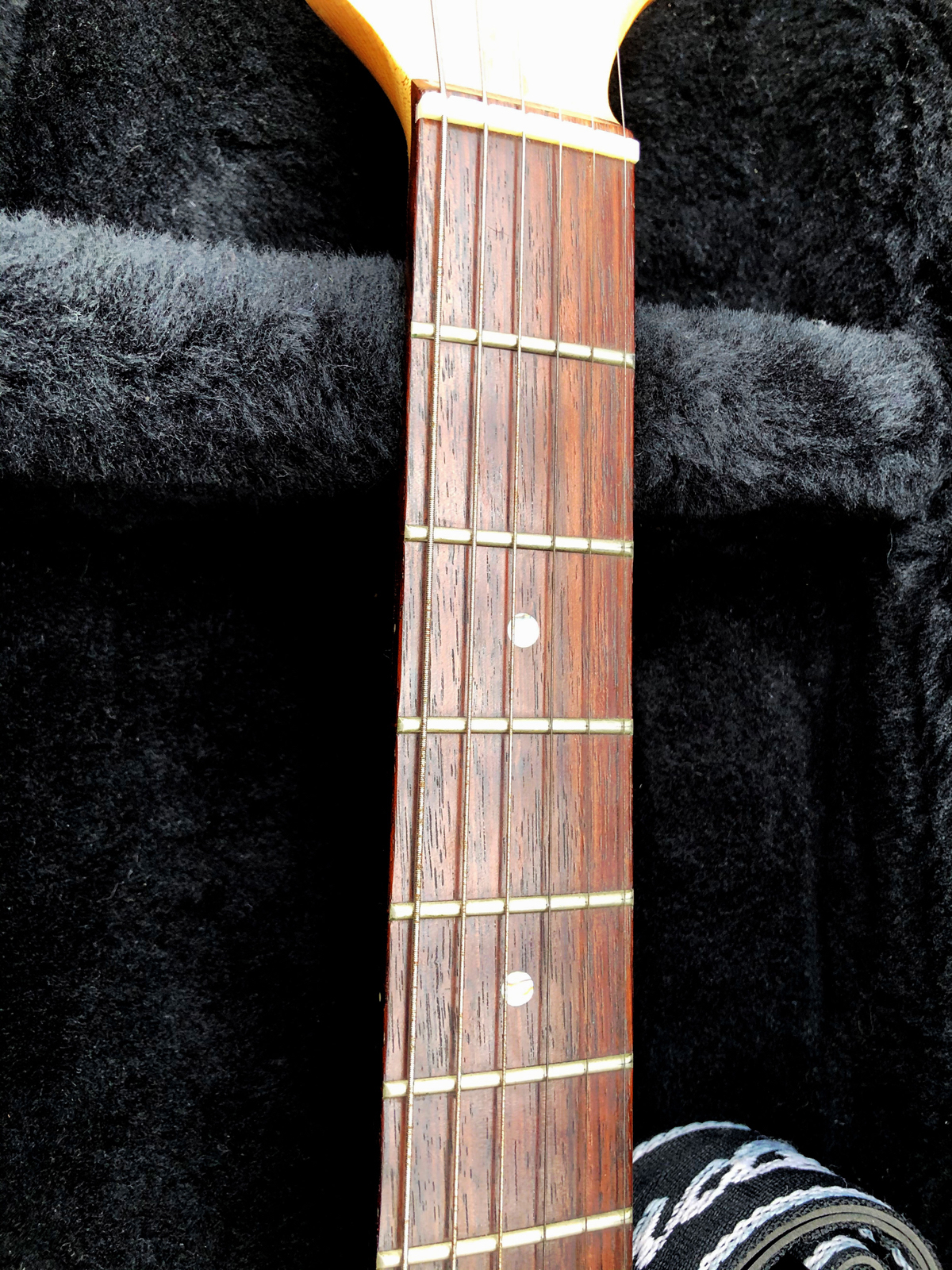 Rosewood Fretboard