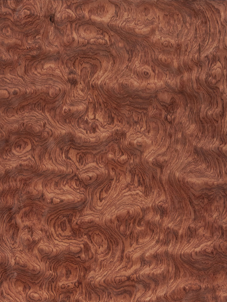 Quilted Bubinga